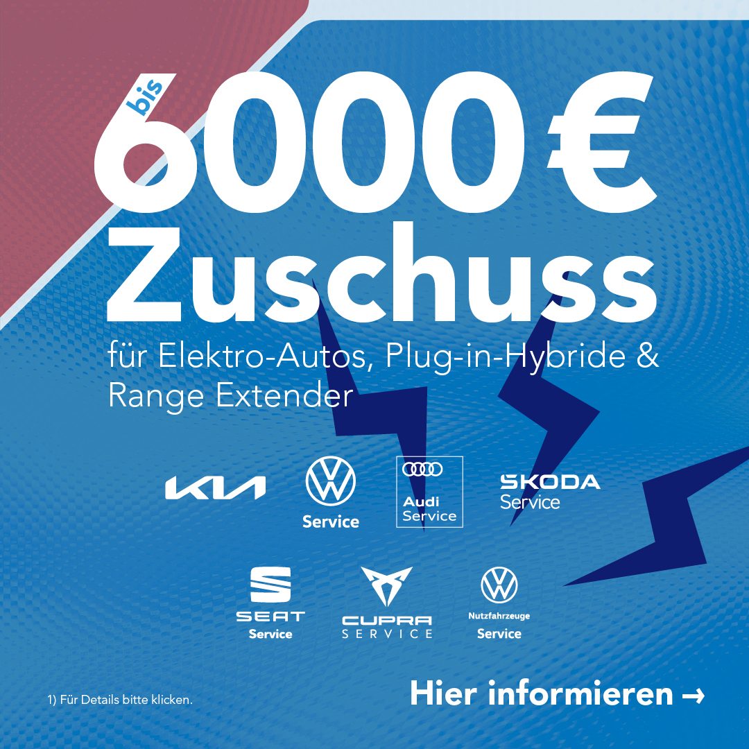 BEITRAG Prämienförderung Elektro