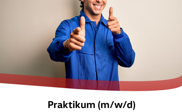  Praktikum